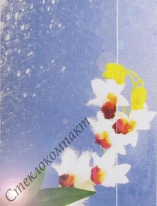 Aqualite