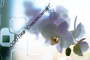 DSG-012 б/цв