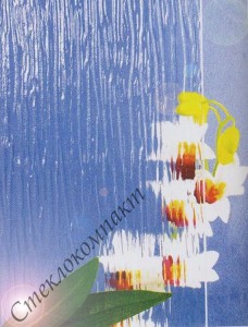 Rain B