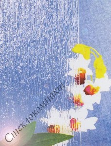 Rain S
