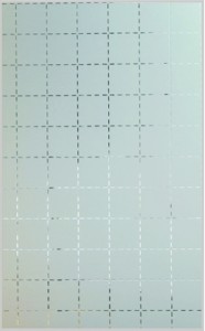 TSG-010
