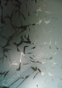 smc-tdg-003